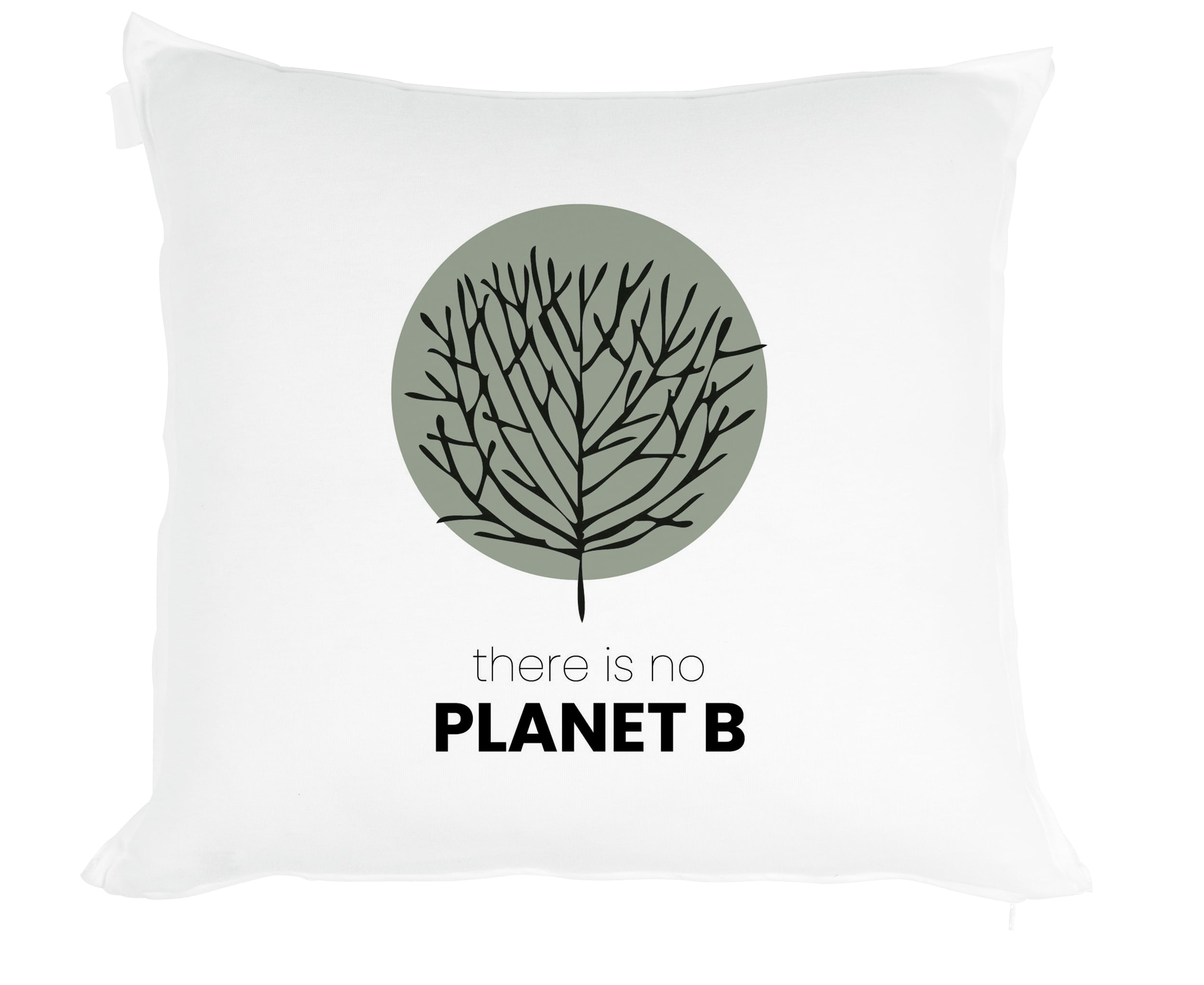 planet B