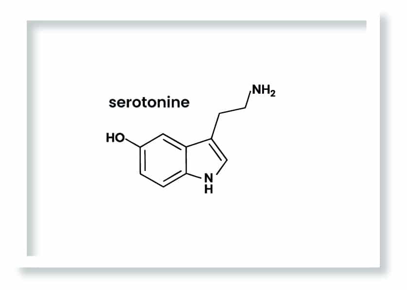 cuadro serotonine