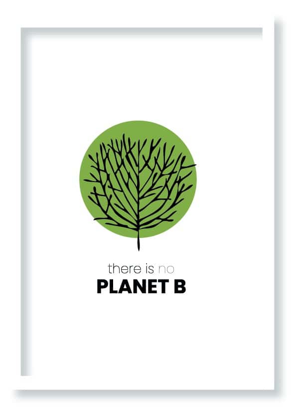planet b