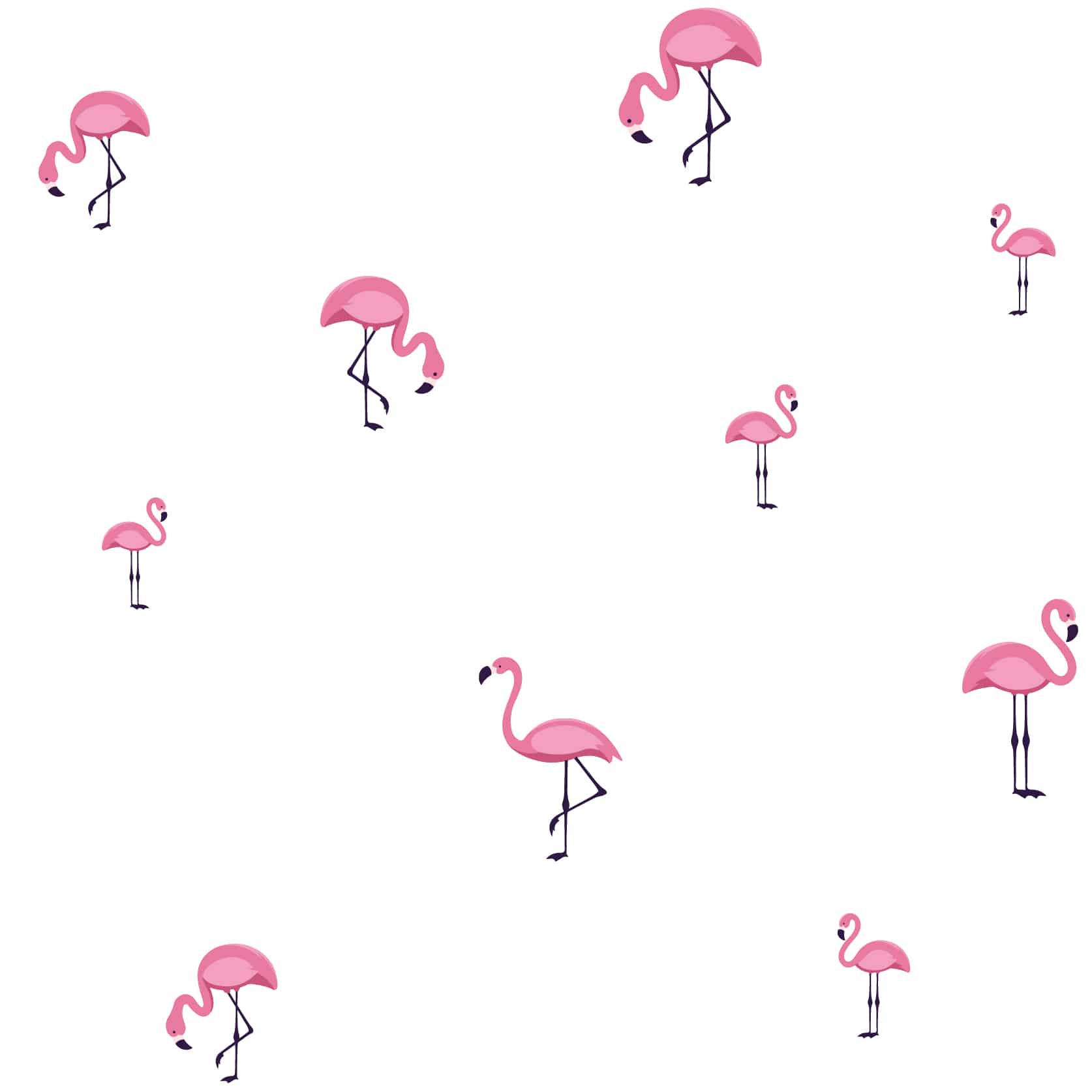 papel de pared flamingo