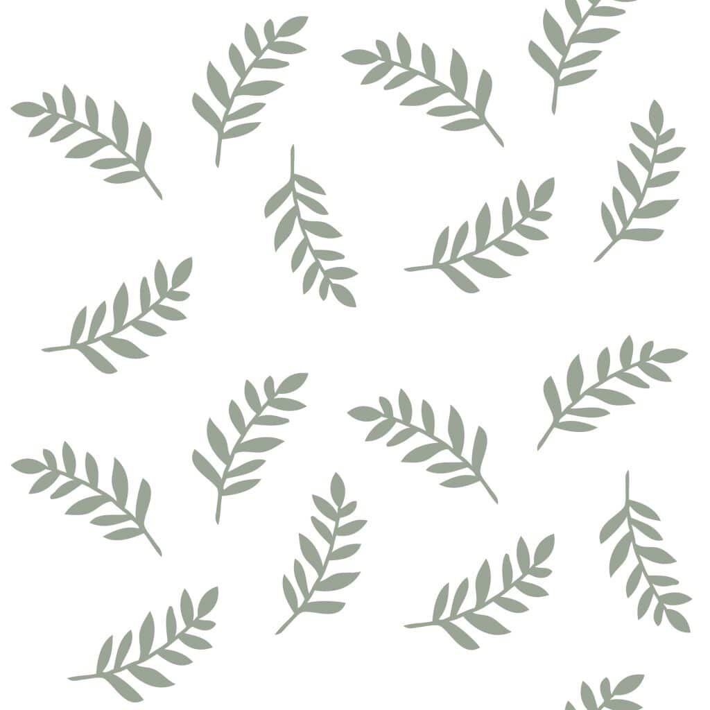 paper paret fulles