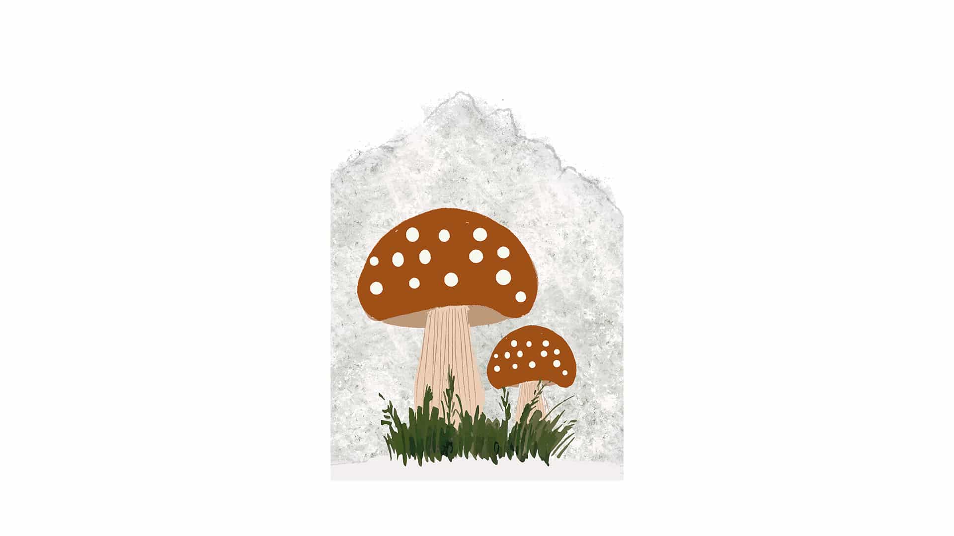 cuadro mushroom